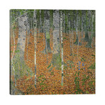 The Birch Wood, 1903 // Gustav Klimt (26"W x 26"H x 1.5"D)