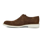 Dress Shoes // Brown Suede (Euro: 44)