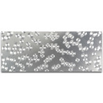 Silver Dots (19"H x 48"W x 0.5"D)