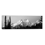 Cathedral Group Grand Teton National Park WY by Panoramic Images (60"W x 20"H x 0.75"D)