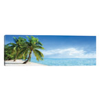 Tropical Beach Panorama With Palm Trees by Jan Becke (60"W x 20"H x 0.75"D)