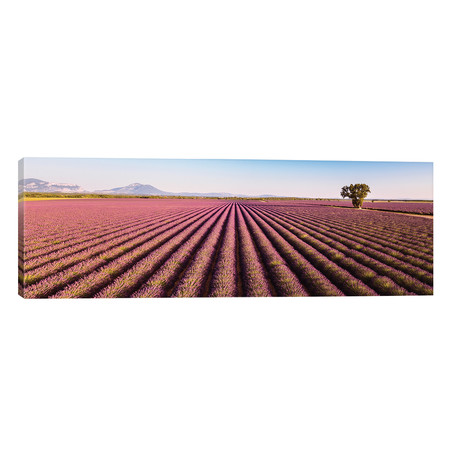 Provence Panorama by Matteo Colombo (60"W x 20"H x 0.75"D)