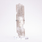 Selenite Crystal + Metal Acrylic Stand // Ver. I