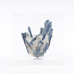 Brazilian Blue Kyanite Crystals & Quartz Matrix + Acrylic Box