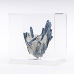 Brazilian Blue Kyanite Crystals & Quartz Matrix + Acrylic Box