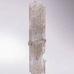 Selenite Crystal + Metal Acrylic Stand // Ver. I