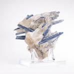 Brazilian Blue Kyanite Crystals & Quartz Matrix + Acrylic Stand