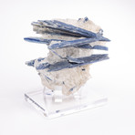 Brazilian Blue Kyanite Crystals & Quartz Matrix + Acrylic Stand