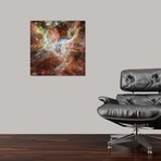Symphony Of Colours, Hodge 301, R136, Tarantula Nebula // NASA