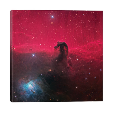 The Magnificent Horse Head Nebula // NASA (26"W x 26"H x 1.5"D)