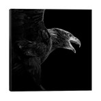 Eagle In Black & White // Lukas Holas (26"W x 26"H x 1.5"D)