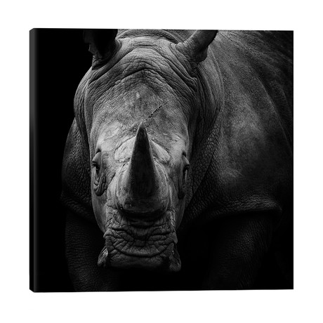Rhino In Black & White // Lukas Holas (26"W x 26"H x 1.5"D)