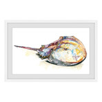 Horseshoe Crab // Framed Painting Print (12"W x 8"H x 1.5"D)