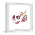 Garlic Clove // Framed Painting Print (12"W x 12"H x 1.5"D)