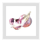 Garlic Clove // Framed Painting Print (12"W x 12"H x 1.5"D)