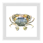 Blue Crab // Framed Painting Print (12"W x 12"H x 1.5"D)