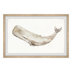Stone-Like Whale // Framed Painting Print (12"W x 8"H x 1.5"D)