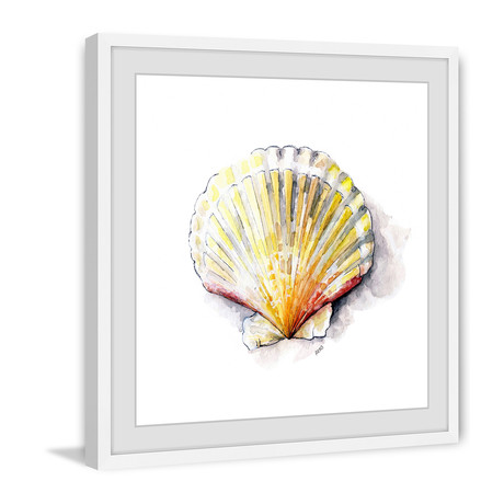 Sea Scallop // Framed Painting Print (12"W x 12"H x 1.5"D)
