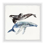 The Big Whales // Framed Painting Print (12"W x 12"H x 1.5"D)