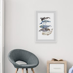 Whale Species v.1 // Framed Painting Print (8"W x 12"H x 1.5"D)