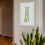 Asparagus Stalks // Framed Painting Print (8"W x 12"H x 1.5"D)
