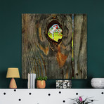 Knothole Baseball // Painting Print on Wrapped Canvas (12"W x 12"H x 1.5"D)