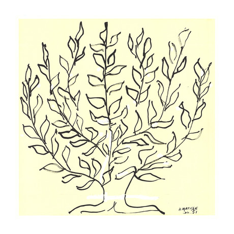 Henri Matisse // Le Buisson - Platane // 2016 Lithograph