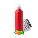 Body Wash with Loofa (Sandalwood, Orange, Peppermint)