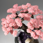The Love Tree // Rose Quartz Tree + Amethyst Matrix // Custom v.4