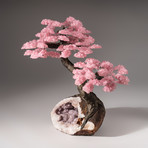 Tree of Divine Love // Rose Quartz Tree + Pink Amethyst Druzy Matrix // Custom
