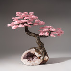 Tree of Divine Love // Rose Quartz Tree + Pink Amethyst Druzy Matrix // Custom