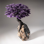 Tree of Pure Balance // Amethyst Tree + Quartz & Black Tourmaline Matrix // Custom