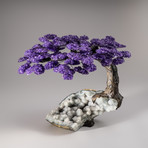 The Harmony Tree // Amethyst Tree + Quartz Crystal Matrix // Custom v.2