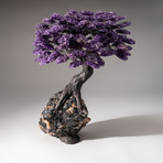 Tree of Pure Balance // Amethyst Tree + Quartz & Black Tourmaline Matrix // Custom