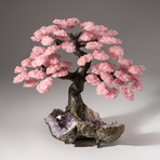 The Love Tree // Rose Quartz Tree + Amethyst Matrix // Custom v.3