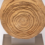 Moroccan Stromatolite + Acrylic Stand // Ver. II