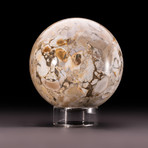 Orbicular Jasper Sphere