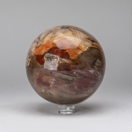 Petrified Wood Sphere + Acrylic Display Stand v.1
