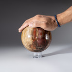 Petrified Wood Sphere + Acrylic Display Stand v.2