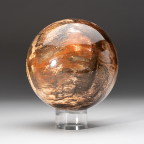 Petrified Wood Sphere + Acrylic Display Stand v.3