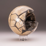 Septarian Druzy Sphere + Acrylic Display Stand v.2