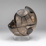 Septarian Druzy Sphere + Acrylic Display Stand v.1