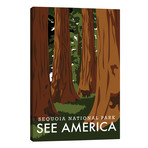 Sequoia National Park // Savvy Bader // Creative Action Network