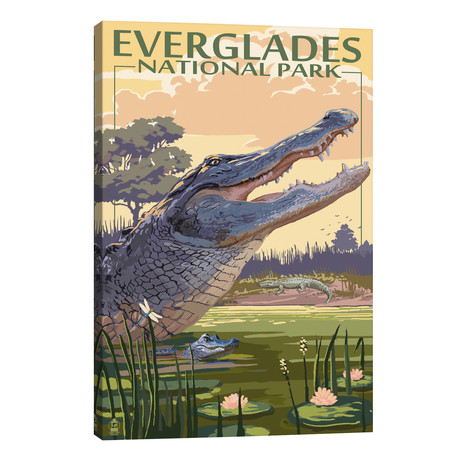 Everglades National Park (Alligators) // Lantern Press