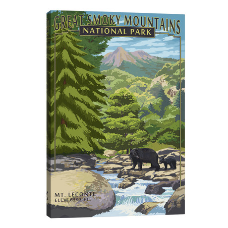 Great Smoky Mountains National Park (Mount Le Conte) // Lantern Press