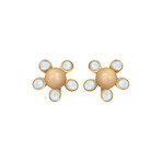 Assael 18k Yellow Gold Moonstone + Golden South Sea Pearl Earrings I