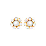 Assael 18k Yellow Gold Moonstone + South Sea Pearl Earrings I