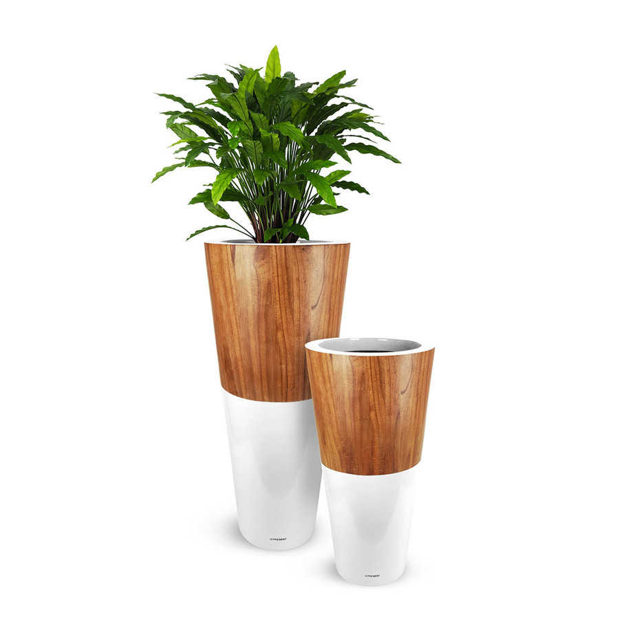 Vase & Co - Elegant Modern Vases + Planters - Touch of Modern