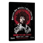 Jimi Hendrix Experience 1969 U.S. Tour At Madison Square Garden Tribute Poster // Radio Days (26"W x 40"H x 1.5"D)