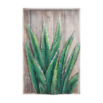 Succulent 1 // Hand Painted Iron Wall Sculpture + Wooden Wall Art